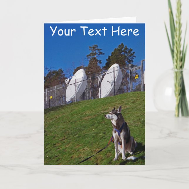 Cartão Cão de rastreador personalizável (Frente)