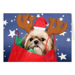 Cartão Cão de Shih Tzu em um saco de compras vermelho