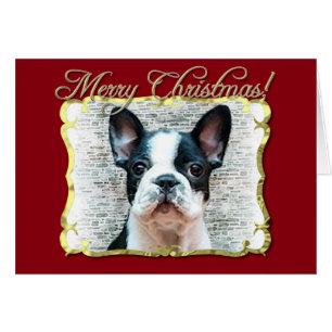 Cartão Cão do buldogue francês