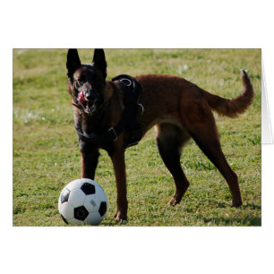 Cartão Cão do futebol
