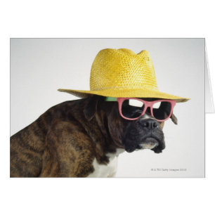 Cartão Cão do pugilista com chapéu e vidros