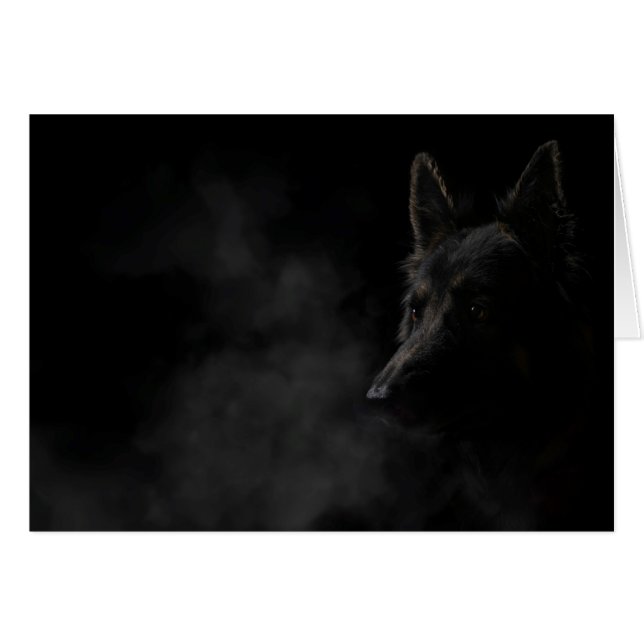 Cartão Cão-esferço alemão (Frente Horizontal)