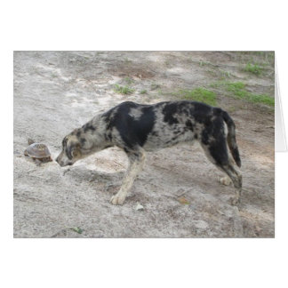 Cartão Cão-leopardo-catahoula