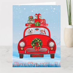 Cartão Cão Maltês em carro com Papai Noel 