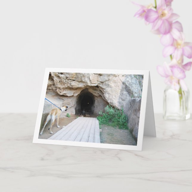 Cartão Cão na Caverna (Orquídea)