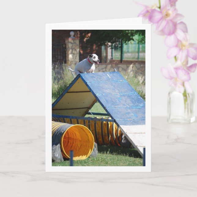 Cartão Cão na Escola de Formação (Orquídea)