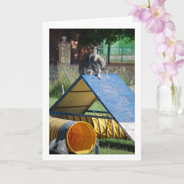 Cartão Cão na Escola de Formação (Orquídea)