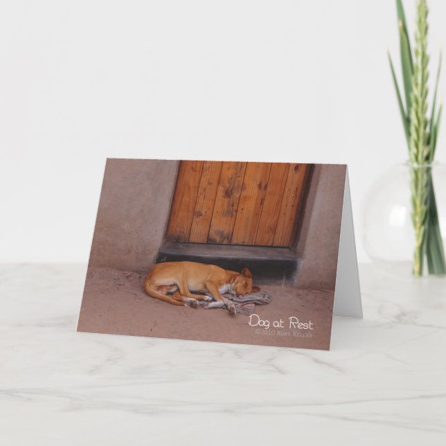 Cartão Cão no Resto (Frente)