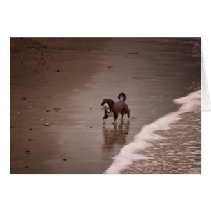 Cartão Cão no Vazio Toned Beach Sepia