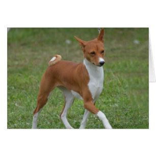 Cartão Cão Prancing de Basenji