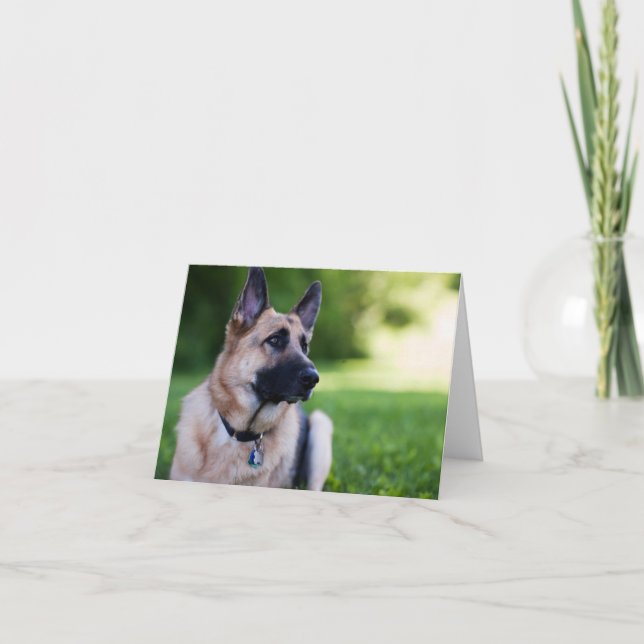 Cartão Cão "relação " do salvamento (Frente)