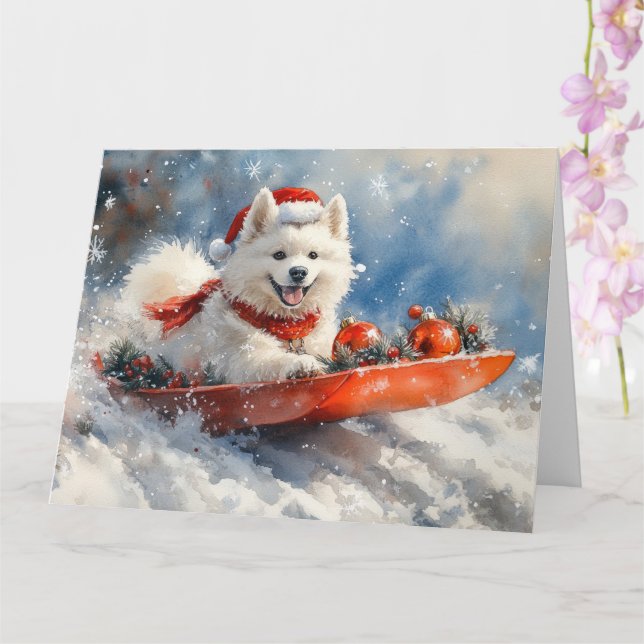 Cartão Cão Samoyed em Trenó Deixe Nevar Natal (Orquídea)