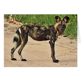 Cartão Cão selvagem