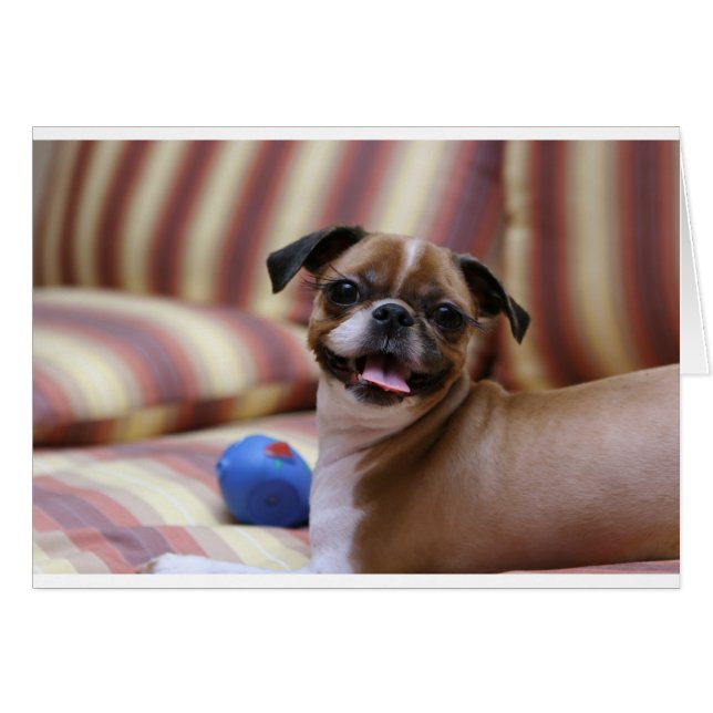 Cartão Cão super bonito com sua bola favorita (Frente Horizontal)