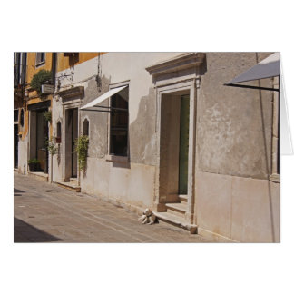 Cartão Cão veneziano