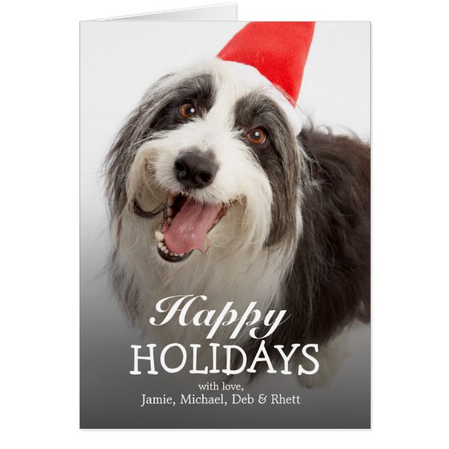 Cartão Cão vestindo chapéu de Papai Noel (Frente)