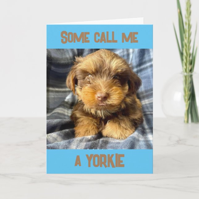CARTÃO CÃO YORKSHIRE TERRIER DIZ "PARABÉNS" (Frente)