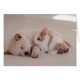 Cartão Cãozinho e Coelho