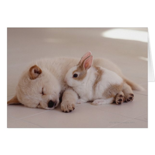 Cartão Cãozinho e Coelho (Frente Horizontal)