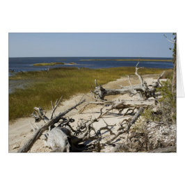 Cartão Capa de deriva na placa de Vazio de praia