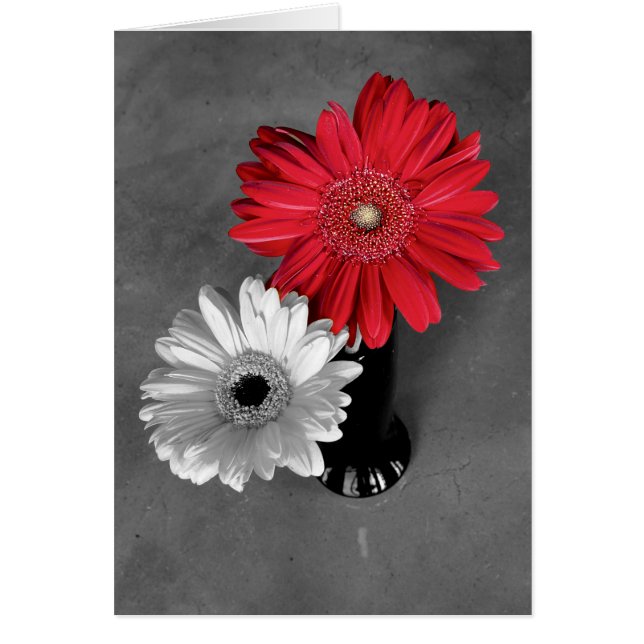 Cartão Capa de Foto com Gerbera Amarela em Cor Vermelha e (Frente)