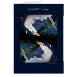 Cartão Capela Sistina da Natureza: Herão Azul Excelente