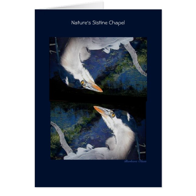Cartão Capela Sistina da Natureza: Herão Azul Excelente (Frente)