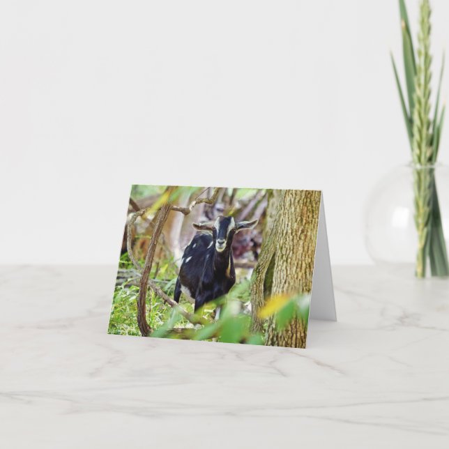 Cartão Capim sorridente (Frente)