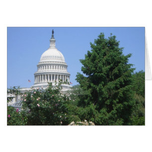 Cartão Capitol Building, do Parque Bartholdi