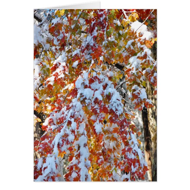 Cartão Capricho (Frente)