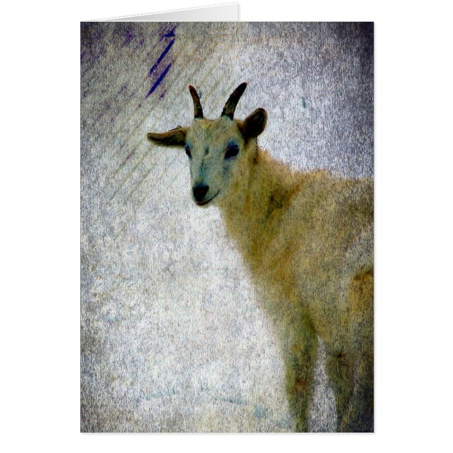 Cartão Caprina (Frente)