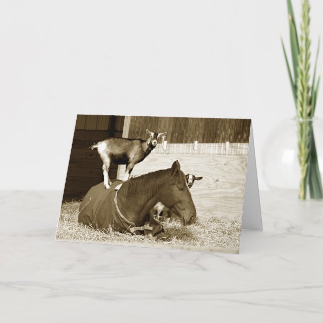 Cartão Caprino em Cavalo Paciente (Frente)