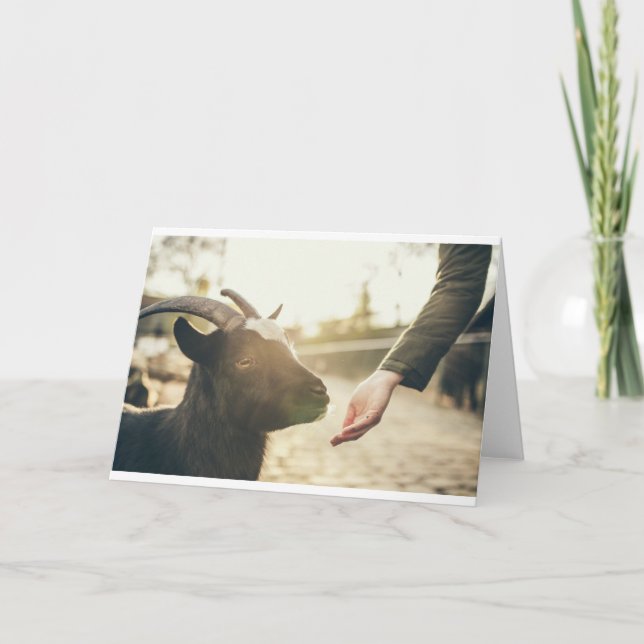 Cartão Caprinos e caprinos (21) (Frente)