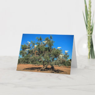 Cartão Caprinos Engraçados em Árvores