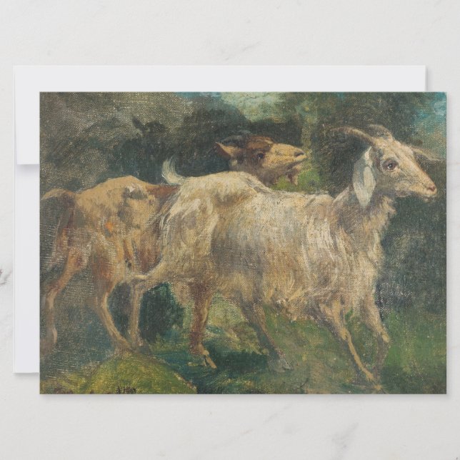 Cartão Caprinos (por Vincenzo Caprile) (Frente)