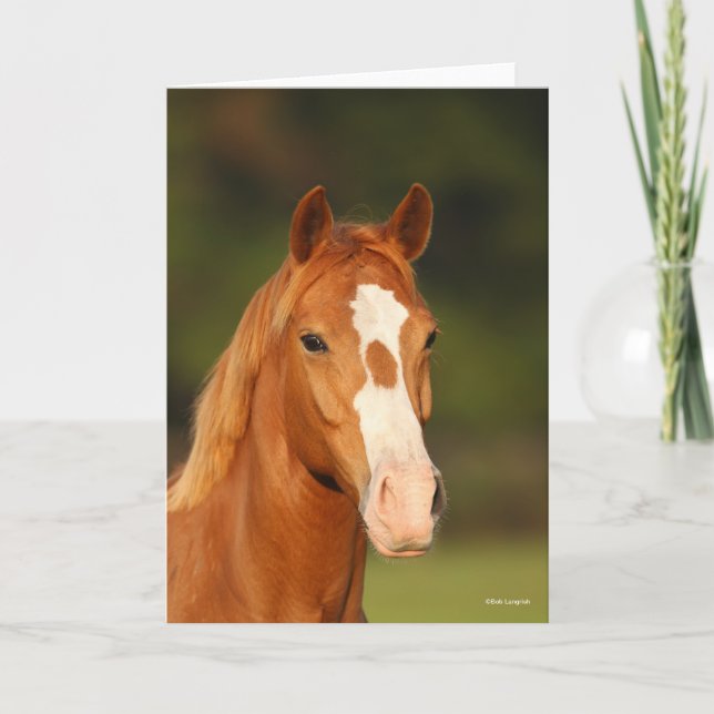 Cartão Captura de cabeça de Oldenburg Cross Welsh (Frente)