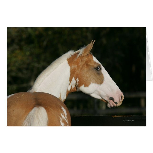 Cartão Captura de Cabeça de Tinta Cavalo 2 (Frente Horizontal)