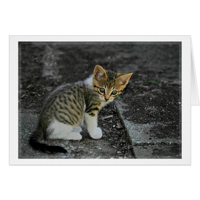 Cartão Capturado (Frente Horizontal)