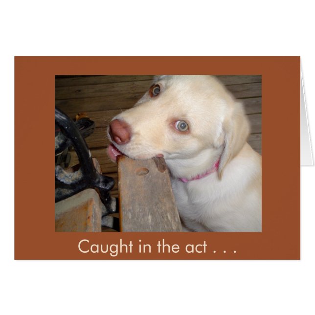 Cartão Capturado no Ato de Amar seu Laboratório Amarelo (Frente Horizontal)