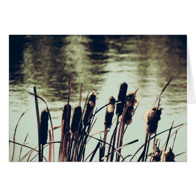 Cartão Capturas, Plantas De Pond (Frente Horizontal)