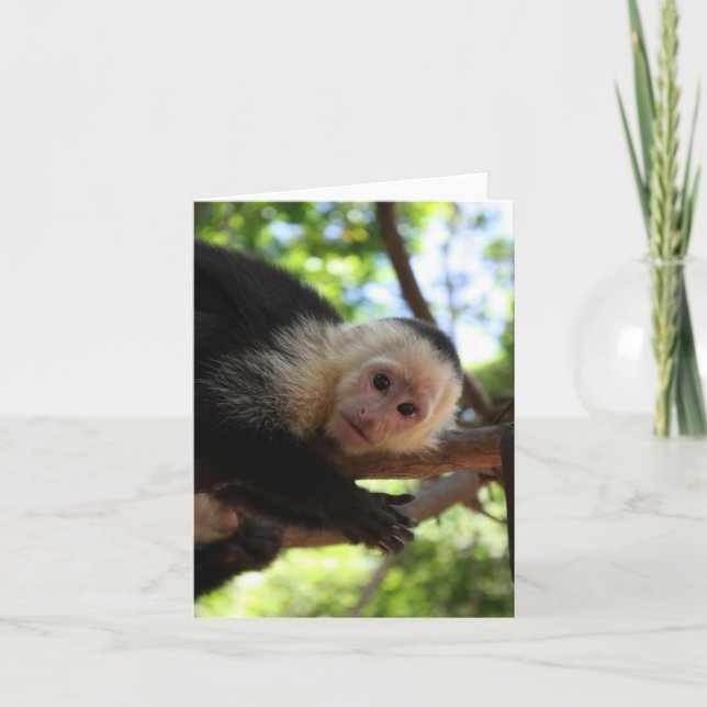 Cartão Capuchin Monkey Notecard (Frente)
