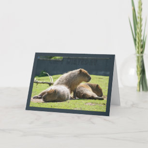 Cartão Capybara Greeting Card - Capy Birthday