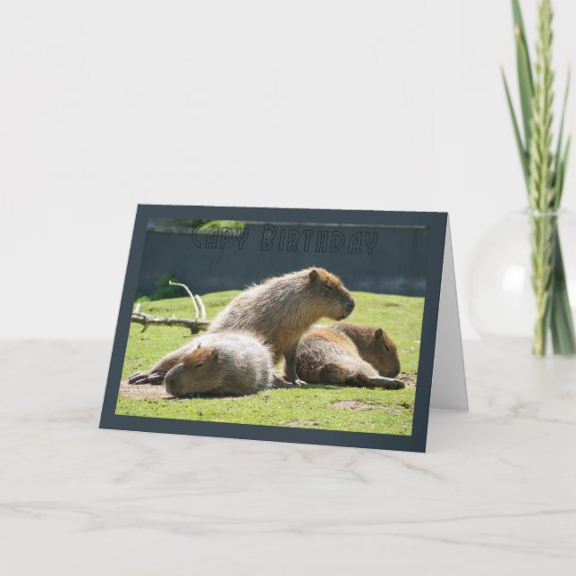 Cartão Capybara Greeting Card - Capy Birthday (Frente)