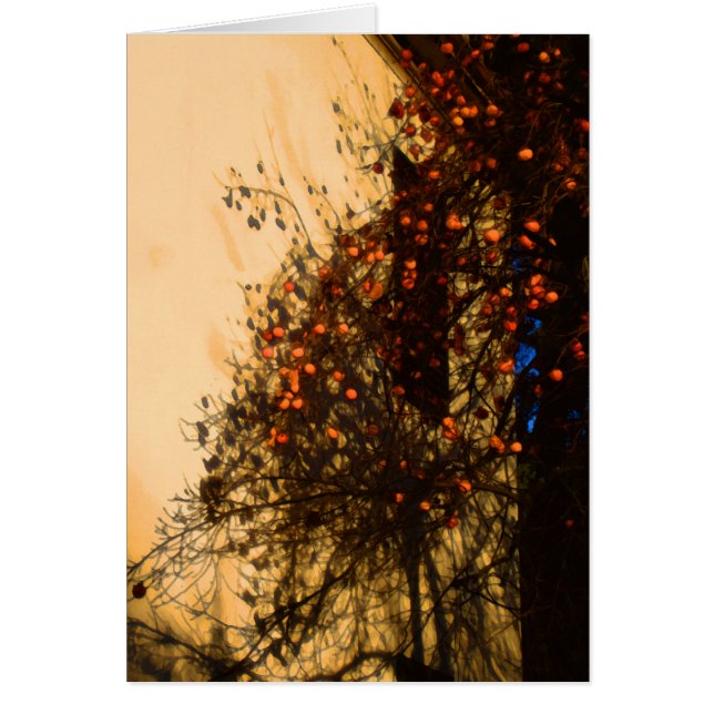 Cartão Caquis (Frente)