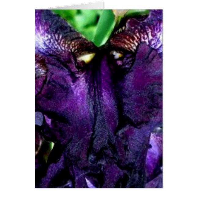 Cartão cara de abóbora (Frente)