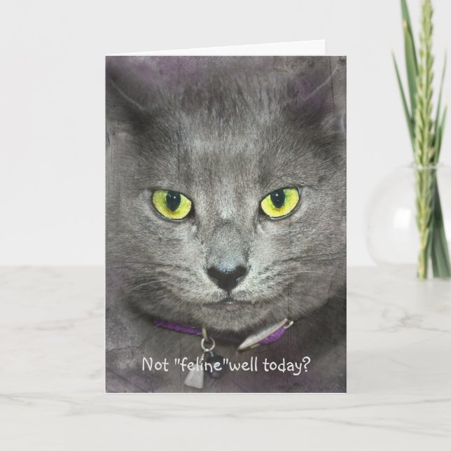 Cartão Cara de Gato Melhorar Logo (Frente)