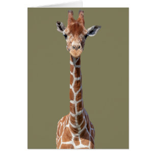 Cartão Cara de girafa bonita