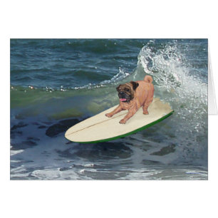 Cartão Cara de Surfista Pug