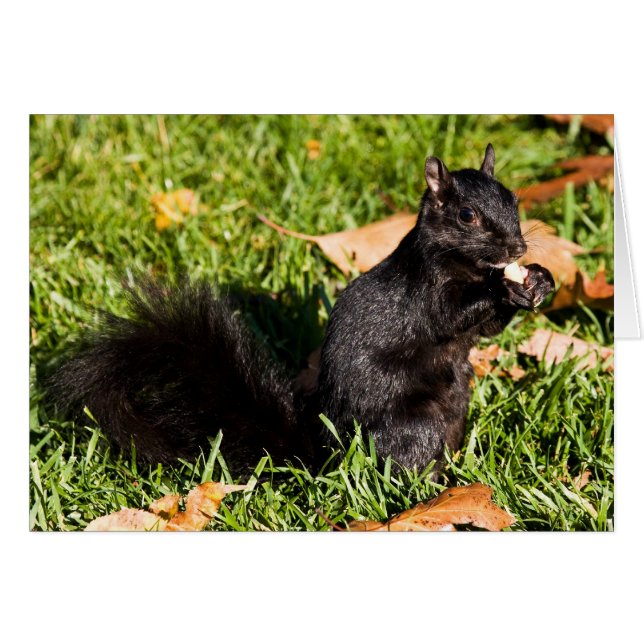 Cartão Cara Nervosa (Frente Horizontal)