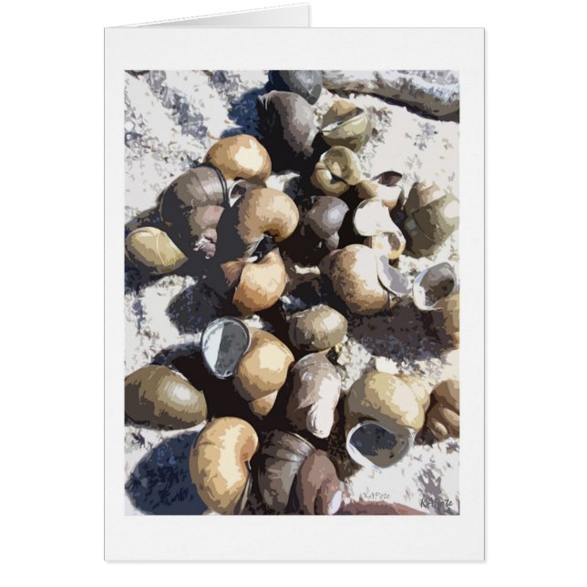 Cartão Caracóis (Frente)